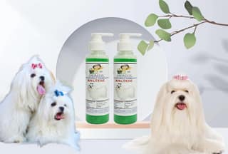 SWACCH Premium Shampoo for Maltese (200ML) (Pack of 2) NEEM ALOVERA