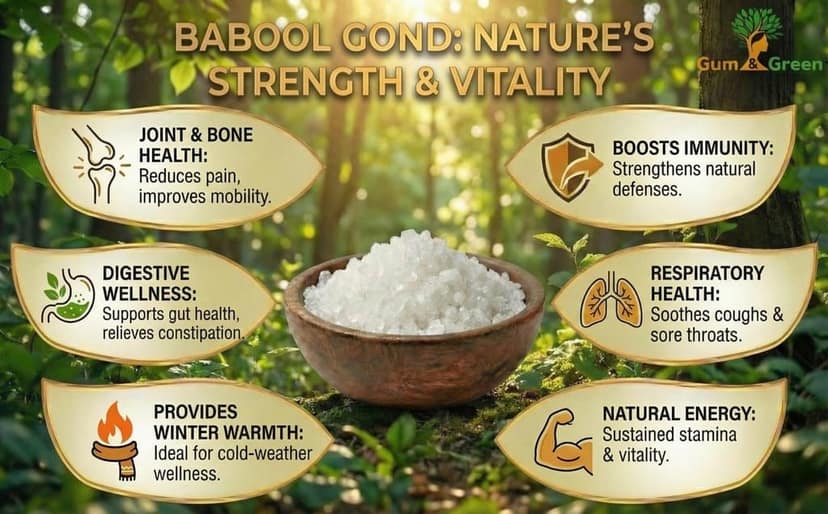 Gum & Green Babool Gond (Acacia Gum) | 100% Natural & Edible | Ayurvedic Strength & Vitality | Ideal for Gond Laddu | Raw Kikar Gum for Immunity | Winter Superfood | FSSAI Certified | 250g view 3
