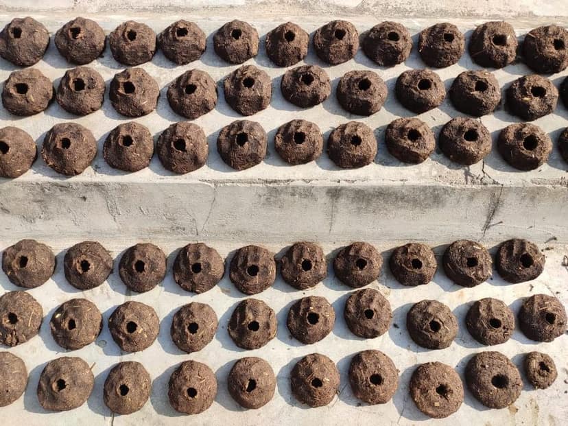 GOKULAM Cow Dung Gulariyan Mala for Holika Dahan/badkulla/badkula/badkulaya(????????) for Holi(21 Pieces in One Mala)