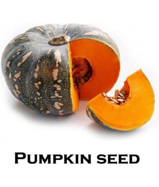 Hybrid Pumpkin Seeds ( 40 Seeds)
