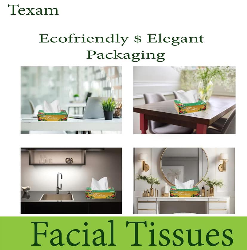 Texam 2 - Ply Facial Tissue Soft Pack – 500 Pulls (Pack of 5) | 100% Virgin Pulp | For Home, Office and Travel view 4