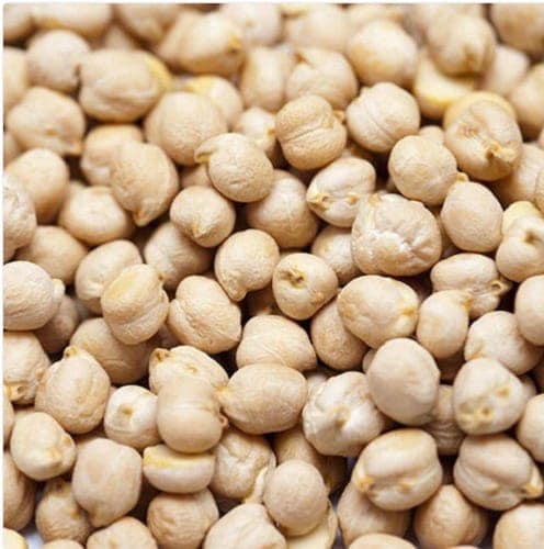 Chikpea/ Kabuli Channa view 2