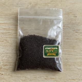 P SEETHAMMA Centre's black salt powder