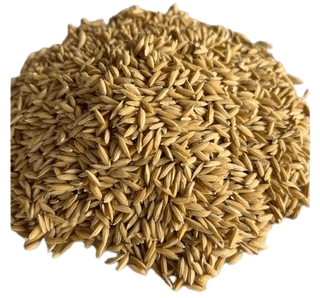 Paddy (BPT) 10kg