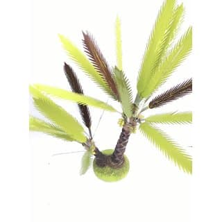 simonart and printing handicraft date palm tree view 2
