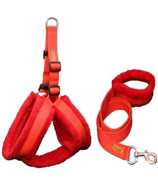 Petshop7 Nylon Dog Harness & Leash Set with Fur (Chest Size - 23-28inch) - Small & Medium