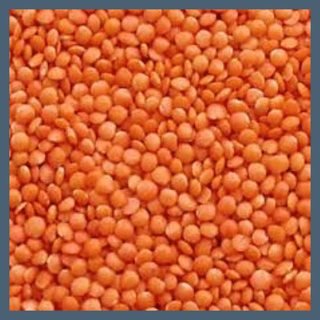 Masoor Dal