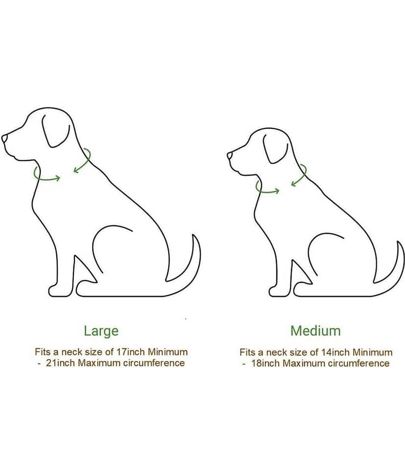 Petshop7 - Brown Dog Combo (Medium) view 2