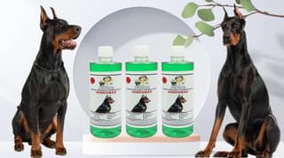 Swacch Shampoo Specially Formulated for Doberman (500ML) (Pack of 3) Neem Alovera