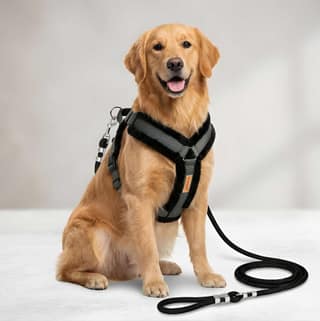 Heavy Duty Nylon Fur Dog Harness with Rope | Adjustable Pet Chest Harness & Leash Set for Dogs | Comfortable Walking & Outdoor Training (Original)