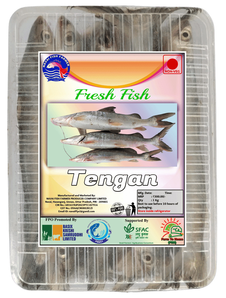 Tengan Fresh Fish | 1Kg