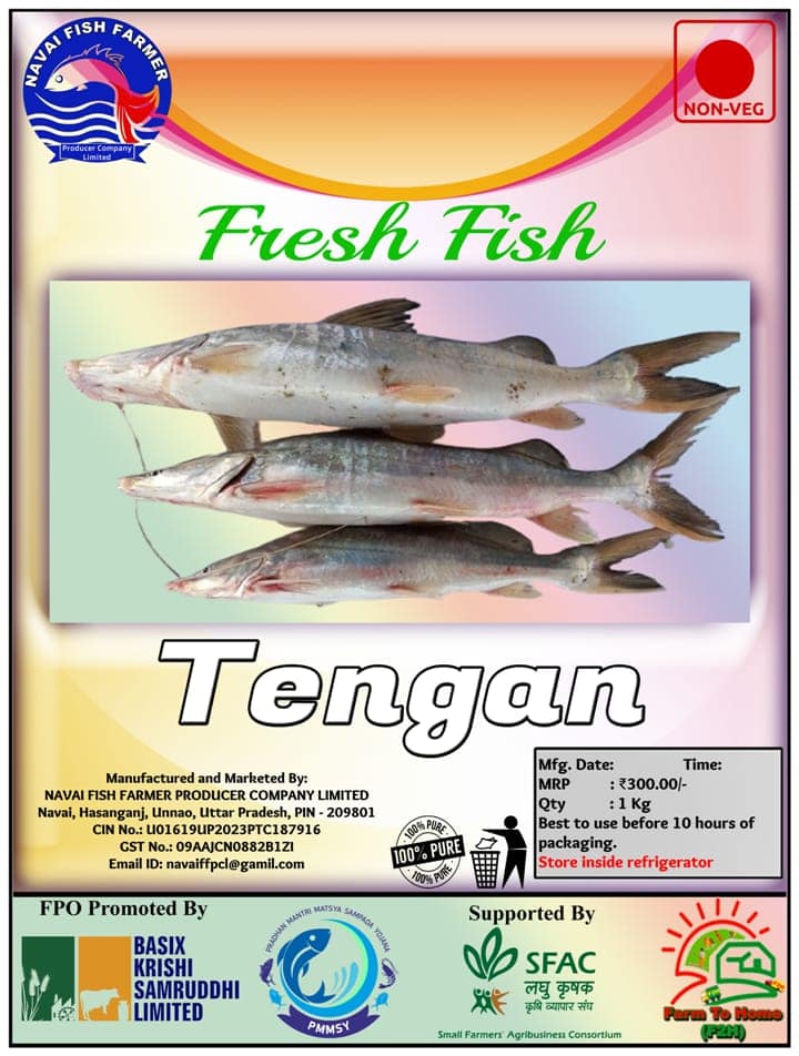 Tengan Fresh Fish | 1Kg view 2