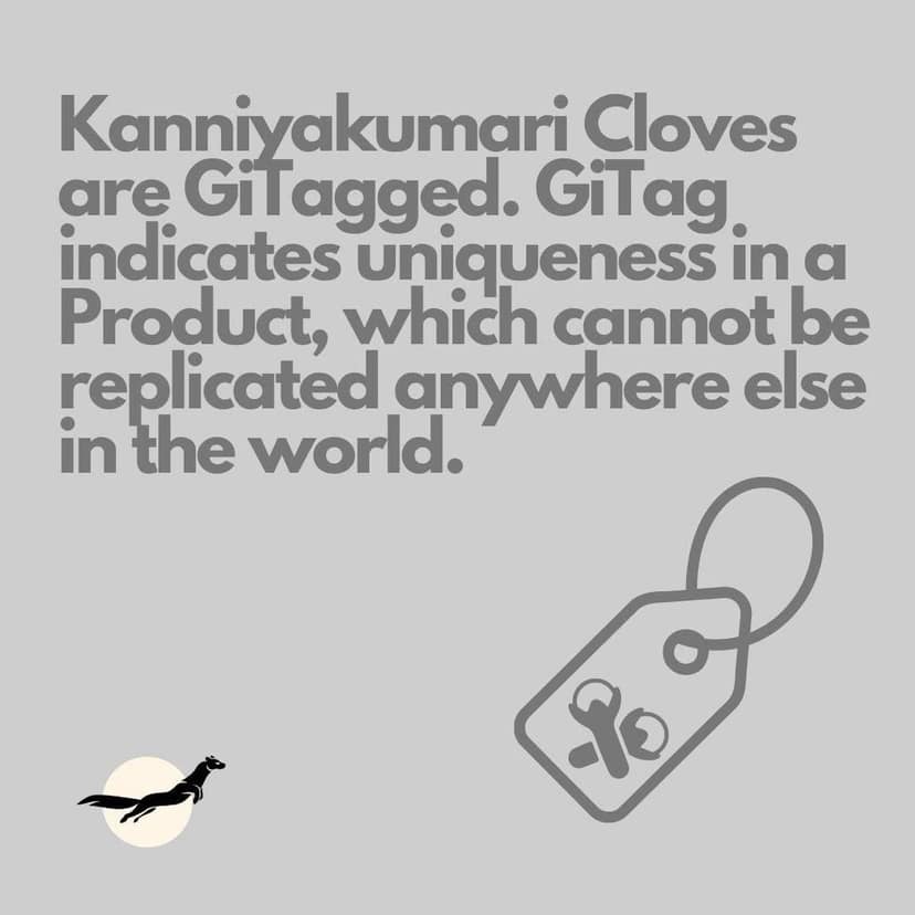 Nilgiri Marten Kanniyakumari Cloves (Laung), 40g (Pack of 2), GiTagged, 21% Oleoresin Content view 5