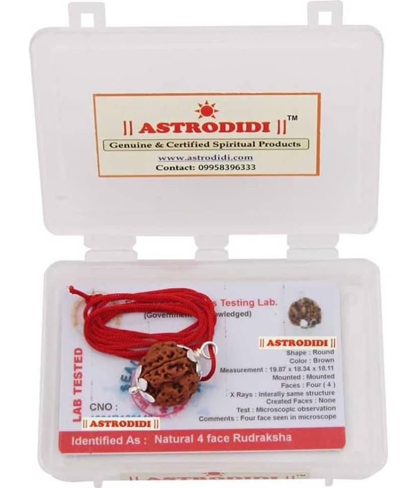 Astrodidi 4 Mukhi Rudraksha Four Face Rudraksha With Lab Certificate view 2