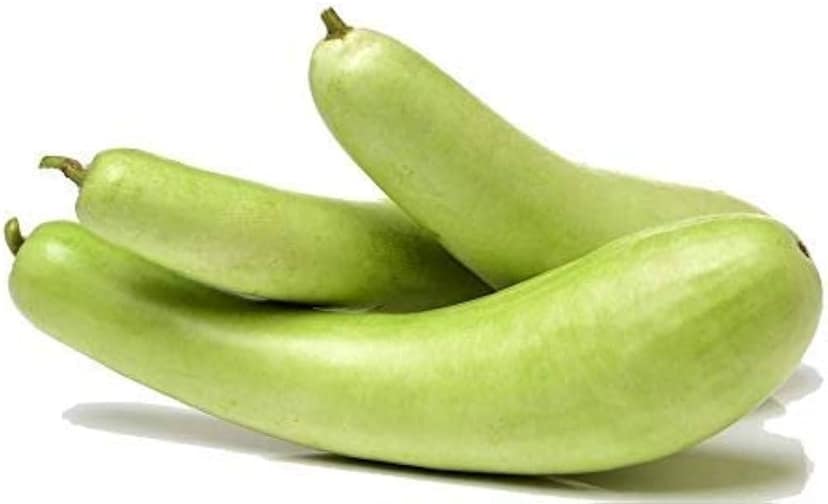 Bottle Gourd-Doodhi| 500 Gms-600 Kg