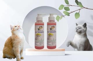SWACCH Premium Shampoo for CAT (200ML) (Pack of 2) Jasmine
