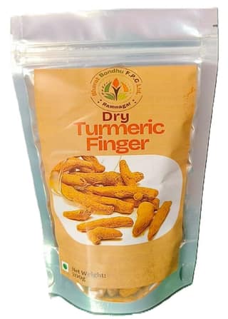Dry Turmeric Finger