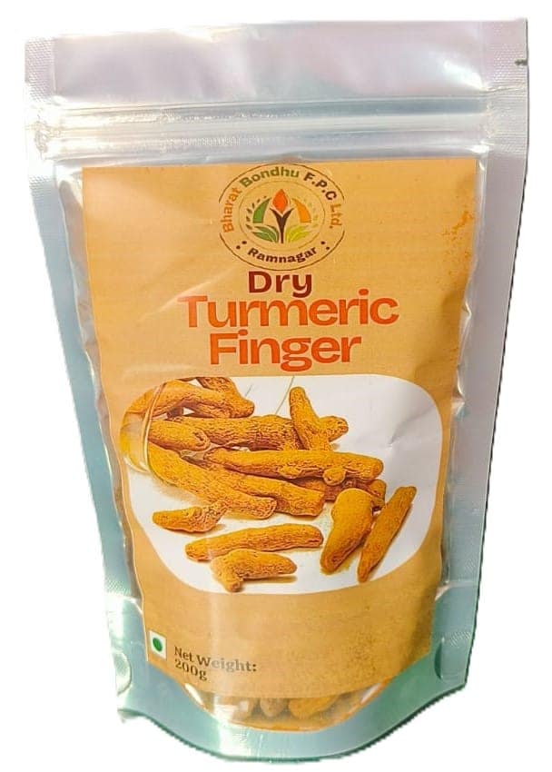 Dry Turmeric Finger