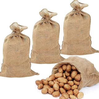 3797 White Potato