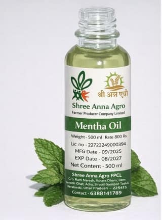 Mentha Oil - 500 ml