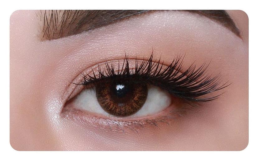 MD SPARKLE QUARTERLY BROWN COLOR CONTACT LENS WITH CASE AND 80ML SOLUTION (PACK OF 1 PAIR)