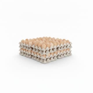 Fresh Farm Eggs - 1 kg - 50 pieces of fresh farm eggs in paper trays