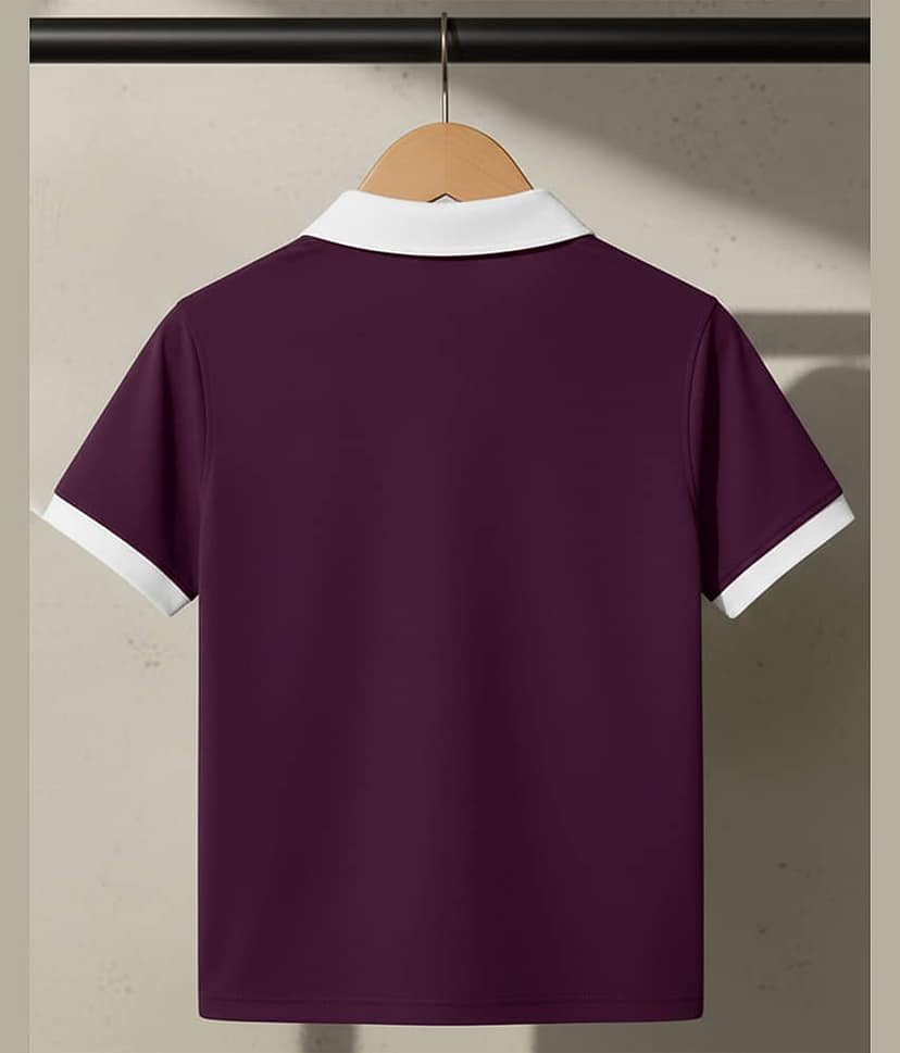 AOOSH Men Cotton Blend Regular Fit Striped Polo T Shirt ( Purple ) view 2