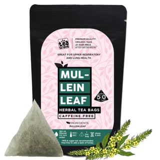 TheTeaTrove Mullein Tea lung detox -50 Pyramid Mullein Tea Bags for lungs in Resealable pouch - Caffeine Free Mullein leaf for lungs detox tea - Mullen Tea to Help Boost Respiratory Health | Pack of 1