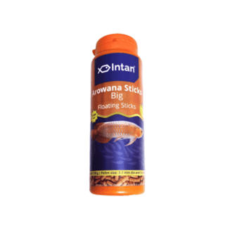 PS TRADER 110 g Intan AROWANA Big Floating Sticks