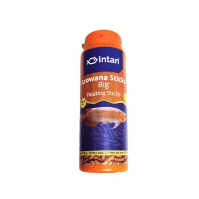 PS TRADER 110 g Intan AROWANA Big Floating Sticks