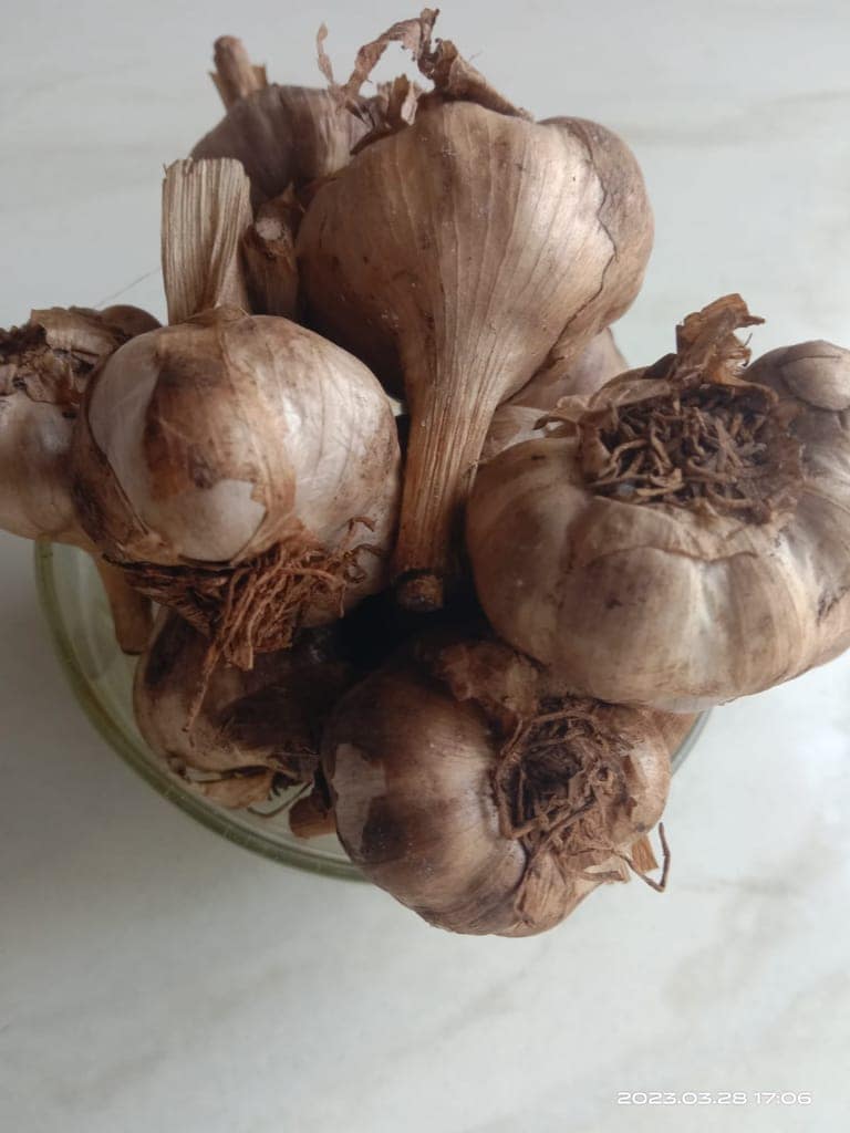 Uzhavan Unavu - Kodaikanal - Poombarai Malai Poondu / Hill Garlic (More Medicinal Value) - 500 Gms view 3