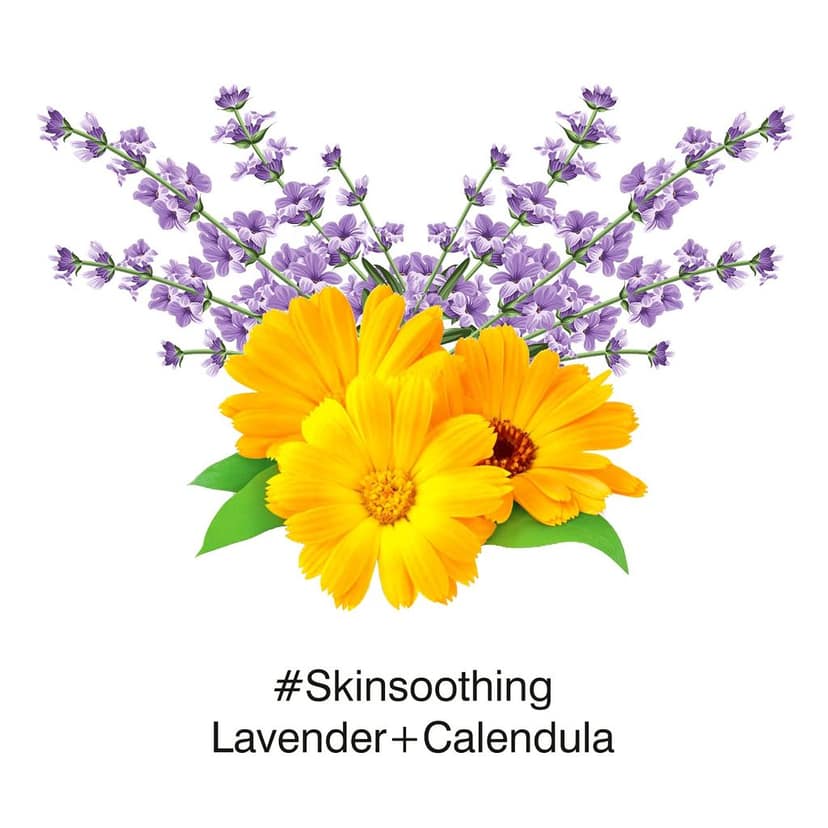 MasKing Bamboo Facial Sheet Mask of Lavender & Calendula for Skin Soothing Ideal for Women & Men, 20ml each (Pack of 5) view 4