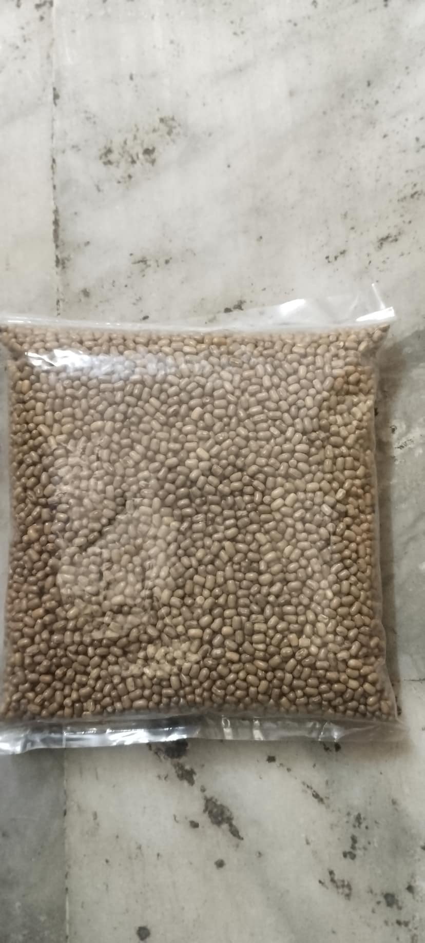 Mote 500gm
