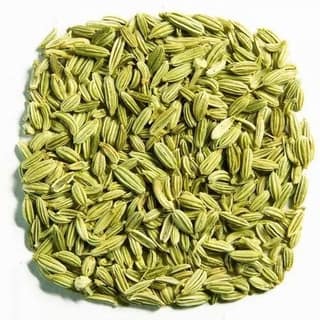 Fennel 1 Pack