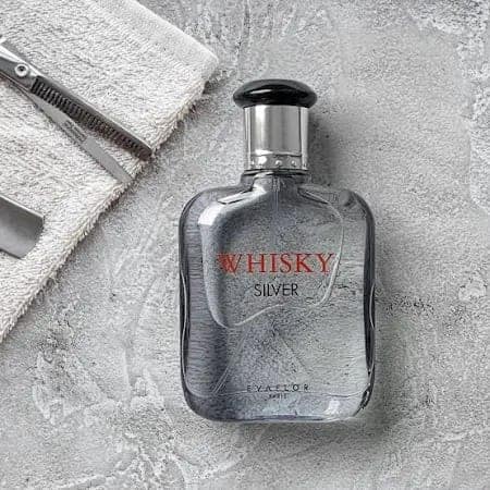 Evaflor Whisky Silver Eau De Toilette for Men – 100ml | Fresh, Spicy & Woody Long-Lasting Fragrance view 3