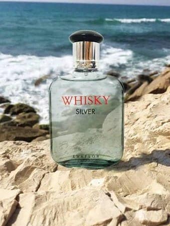 Evaflor Whisky Silver Eau De Toilette for Men – 100ml | Fresh, Spicy & Woody Long-Lasting Fragrance view 5