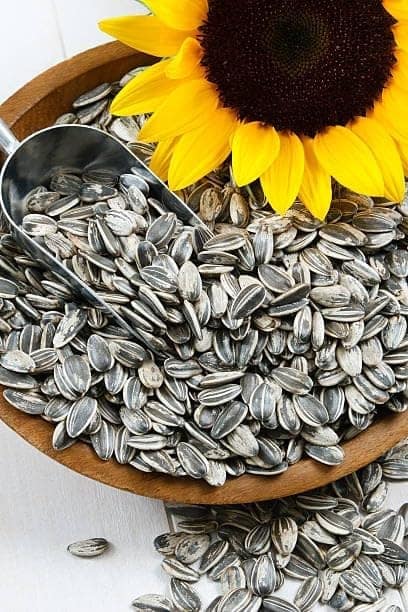 TURF FRESH - Roasted Salted Jumbo Sunflower Seeds,Surajmukhi Beej – The Ultimate Superfood Snack! A+ GRADE SEEDS Healthy Snacks view 10