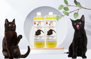 SWACCH Shampoo Specially FORMULATED for Bombay CAT (1 Litre) (Pack of 2) Lemon