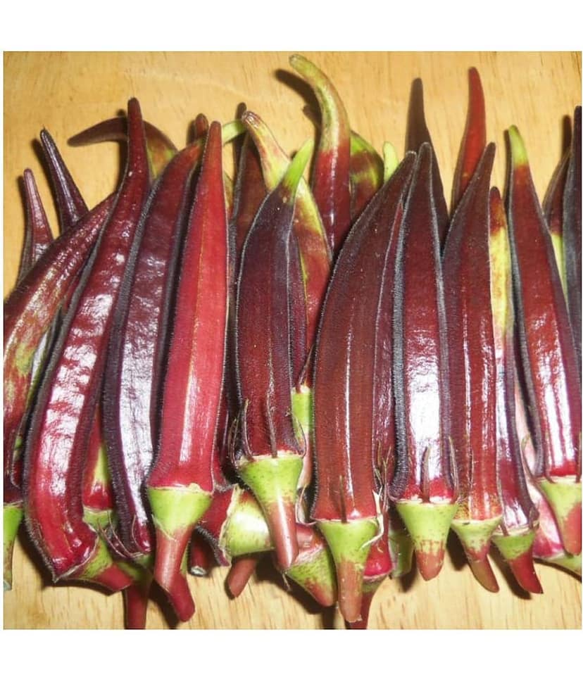 Green India Vegetables Okra/Bhindi Hybrid Seeds - 50 seeds/Pack