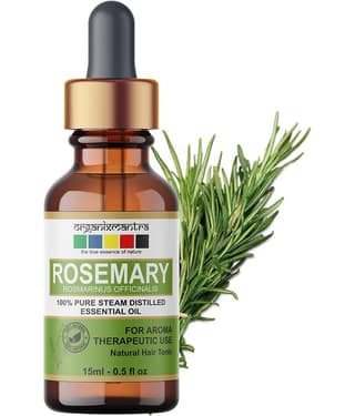 Organix Mantra - Rosemary Essential Oil 15 mL ( Pack of 1 )