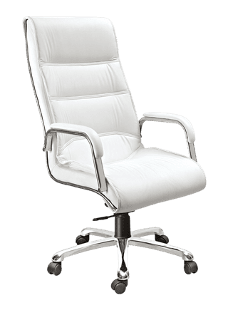 Kantva Premium High Back Executive Office Chair with Wheels and Cushioned Seat