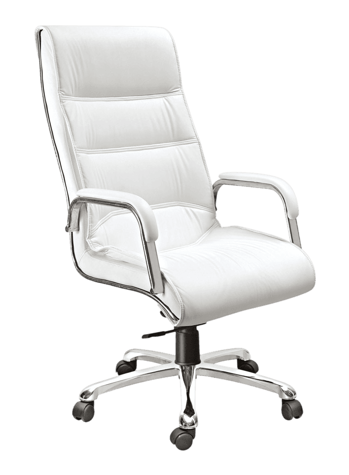 Kantva Premium High Back Executive Office Chair with Wheels and Cushioned Seat