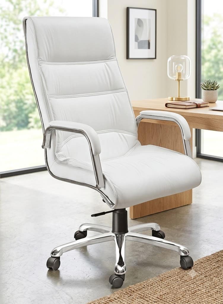 Kantva Premium High Back Executive Office Chair with Wheels and Cushioned Seat view 2