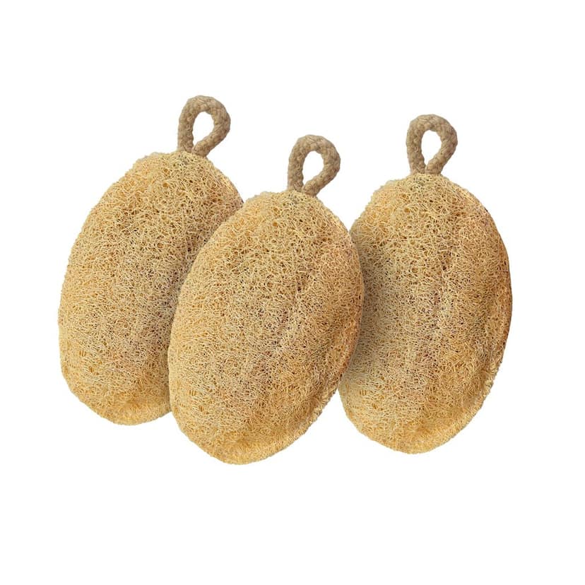 Careberry Eco Friendly Organic Loofah | Gentle Exfoliator Sun Dried Luffa | Ideal Daily Body Wash Scrub Pack of 3