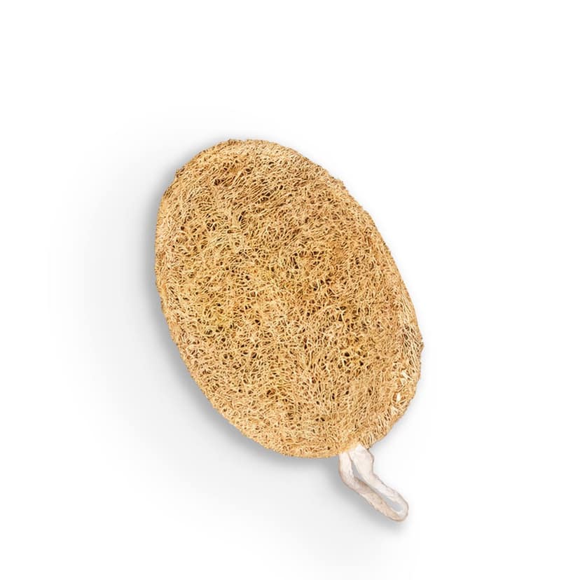 Careberry Eco Friendly Organic Loofah | Gentle Exfoliator Sun Dried Luffa | Ideal Daily Body Wash Scrub Pack of 3 view 3