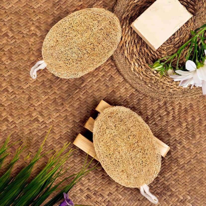 Careberry Eco Friendly Organic Loofah | Gentle Exfoliator Sun Dried Luffa | Ideal Daily Body Wash Scrub Pack of 3 view 4