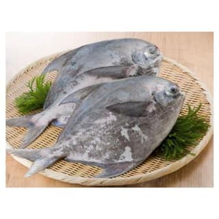 Kapri Pomfret 1 Kg
