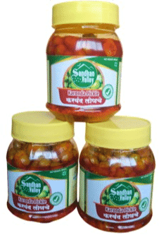 BHIMASHANKAR's HOMEMADE KARONDA PICKLE, 200 gms. view 2