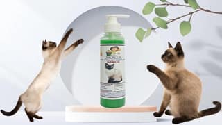 SWACCH Premium Shampoo for Siamese (200ML) NEEM ALOVERA