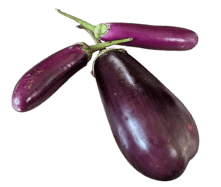 Organic Brinjal/Eggplants, Fresh and Locally Grown, Available Now!